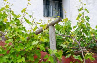 Apartamento Los Lirios - Foto 46