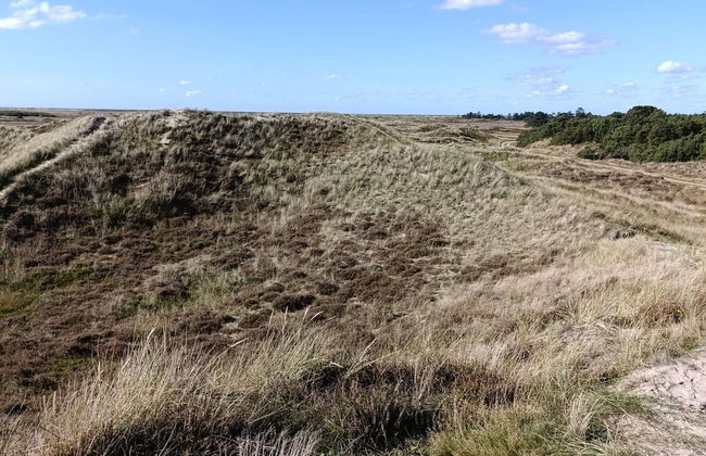 6 Person Holiday Home in Thyholm-by Traum - Photo 10