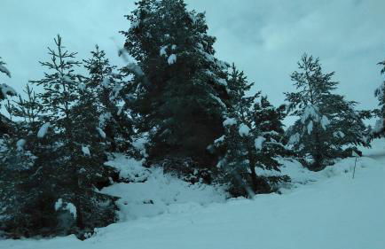 El Torreón I - Photo 28