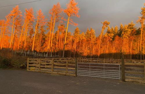 The Annex at Meeks Park immaculate 2 bed - Foto 15