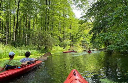 Leśna Baszta - Foto 23