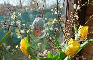 Domek pod Dębami Bogaczewo - Foto 7