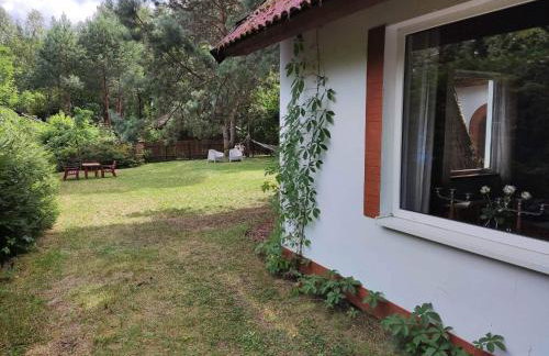 Dom letniskowy w Borach Tucholskich - Foto 11