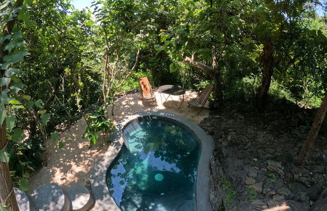 Bosque Geométrico - Foto 42