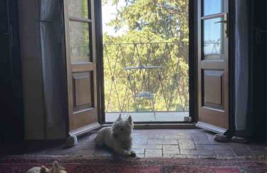 La casa di Carlotta - Foto 25