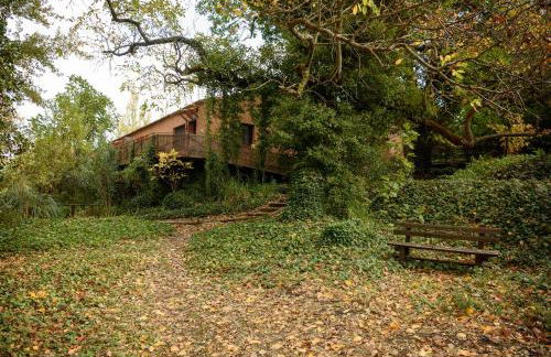 Molinos de Fuenteheridos - Foto 33