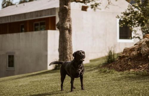 Ferienhaus TierbachLodge - Foto 11