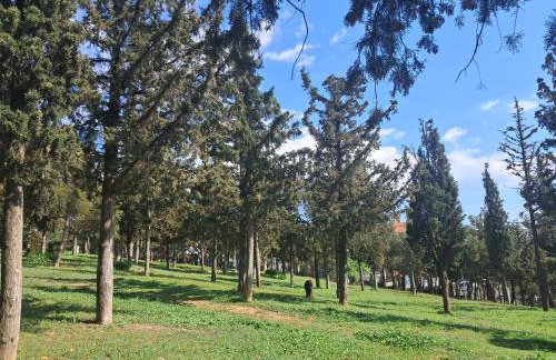 Alsos Home - Foto 20