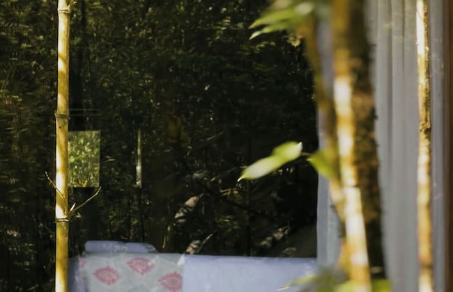 HOSTERIA KUMBHA MELA - Foto 9