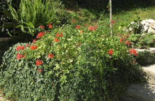 Apartment Jadranka with views of the sea - Photo 13