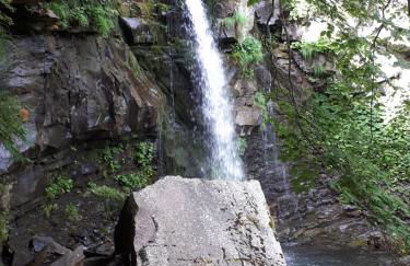 La Tana dei Tassi - Foto 21