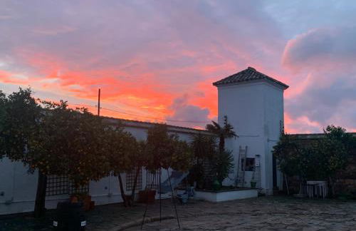 Molino la Nava - Foto 5