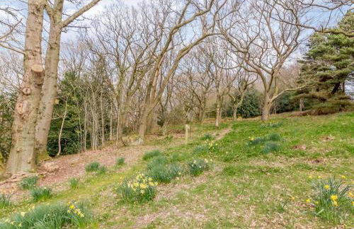 1 Bed in Harrogate oc-76511 - Foto 18