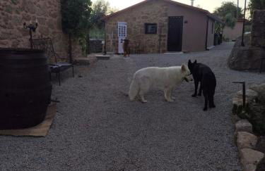 Tapada das Carvalhas - Foto 78