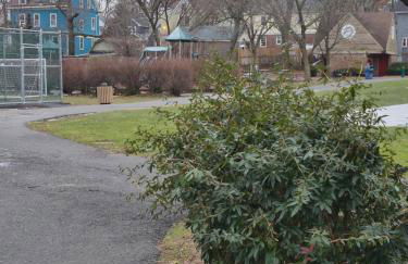 Serene Haven of Tranquility - Foto 24