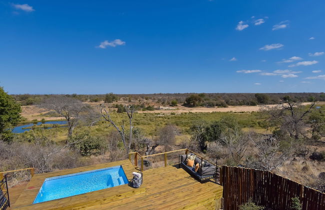 Simbavati Mvubu - Foto 13