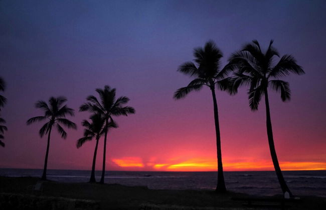 Studio Nene by AvantStay | Chic, Cozy, King Bed - Foto 29