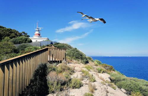 AGUILA DORADA - Foto 21