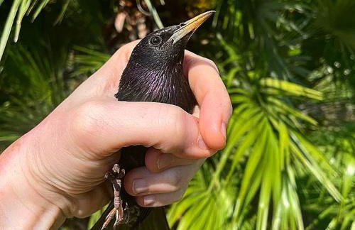 Agriturismo L'Essiccatoio - Foto 70