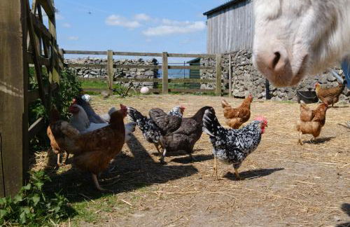 Ivy Cottage - Photo 48