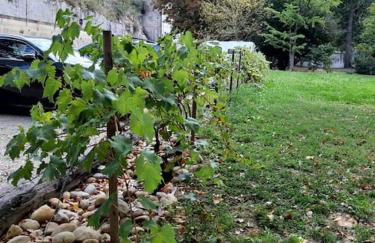 Appartement Au Murmure des Eaux à Fontaine-de-Vaucluse - Foto 23