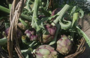 La Fattoria Dei Nonni - Foto 54