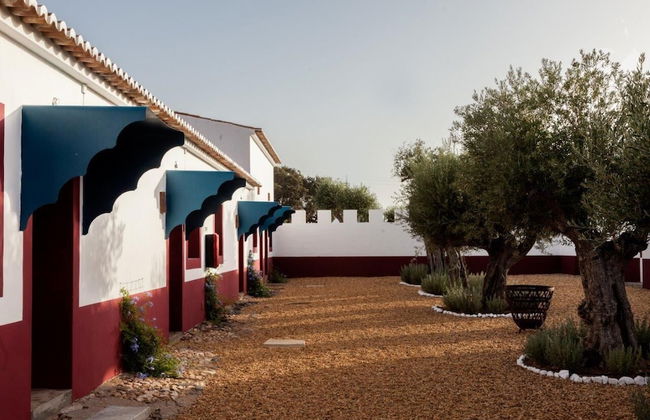 Herdade Quinta da Chamine - Foto 16