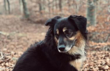 Agriturismo Tripala - Foto 69