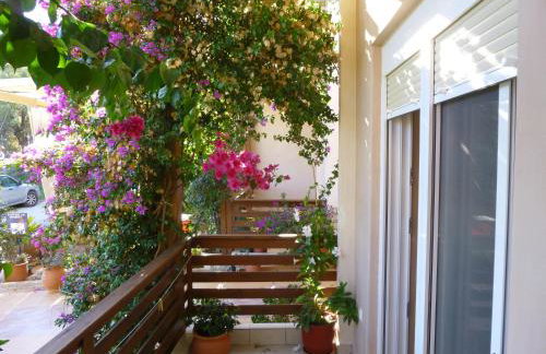 Giovanni Mare - Foto 24