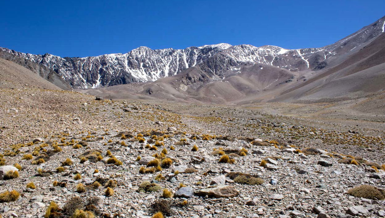 Traverse the Andean landscape