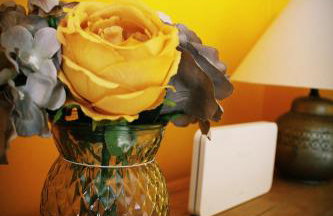 The Old Court House & Jail - Photo 41