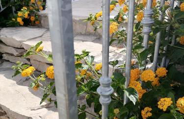 La maiolica - Foto 12