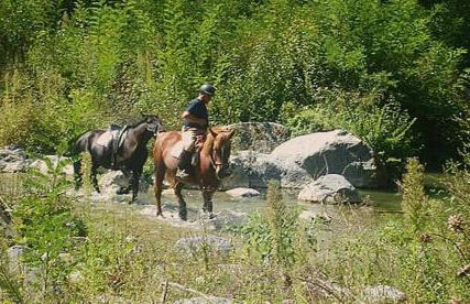 Agriturismo San Filippo - Foto 18