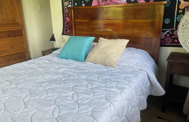 Morning Glory - Foto 3