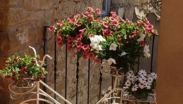 ESPECTACULAR CASA RURAL CA L'ESQUERRÉ - Photo 3