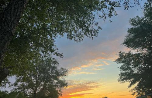 DeLand Dome House- 98 Inch TV - Open Kitchen - Near Bridle Oaks - Photo 22