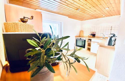 Moosmühle Weitnau - Photo 3