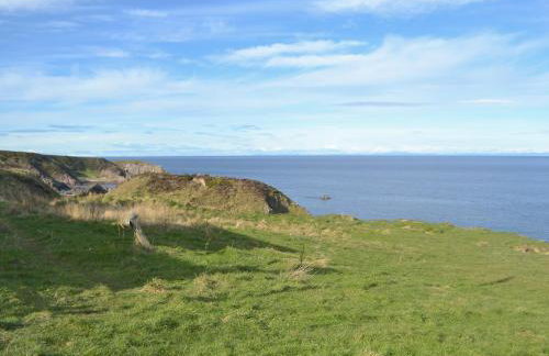 Dolphin View - Uk30689 - Foto 15