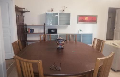 Wild Paradise - Foto 18