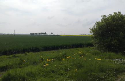 Quiet spacious cottage - Foto 12