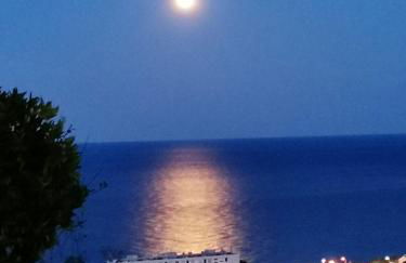 Appartement Vue Mer à Bastia, terrasse et piscine privée. - Photo 58