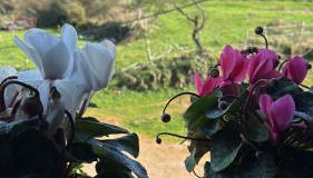 Casa de campo La siberia - Foto 4