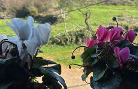 Casa de campo La siberia - Foto 4