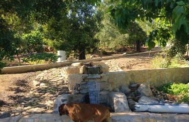 Rustic Villa Tavira with Mountain Views and Pool - Foto 27