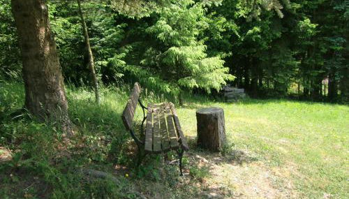 Ferienhaus Haus am Wald - Foto 2