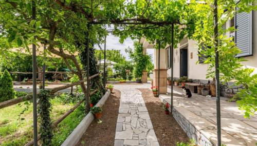 Etna, salvia e rosmarino - Foto 3