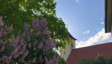 Altes Schulhaus Mutschelbach - Foto 4