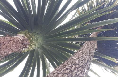 Le Gite de ROZ AR GRILLET - Foto 13