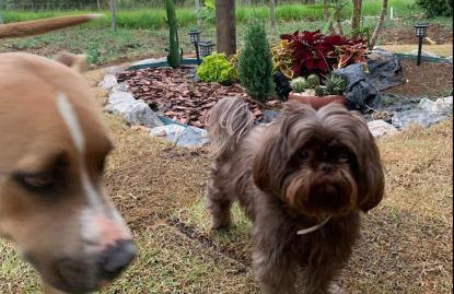 Casa de Campo Paraibuna com Lareira e Fogo de chão - Foto 47