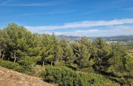 Le Cocon Marseillais - Photo 19